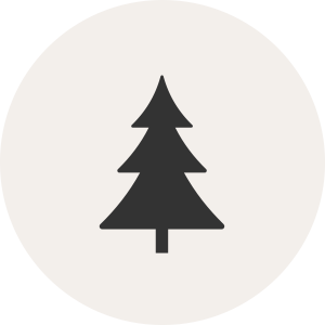 Environment icon