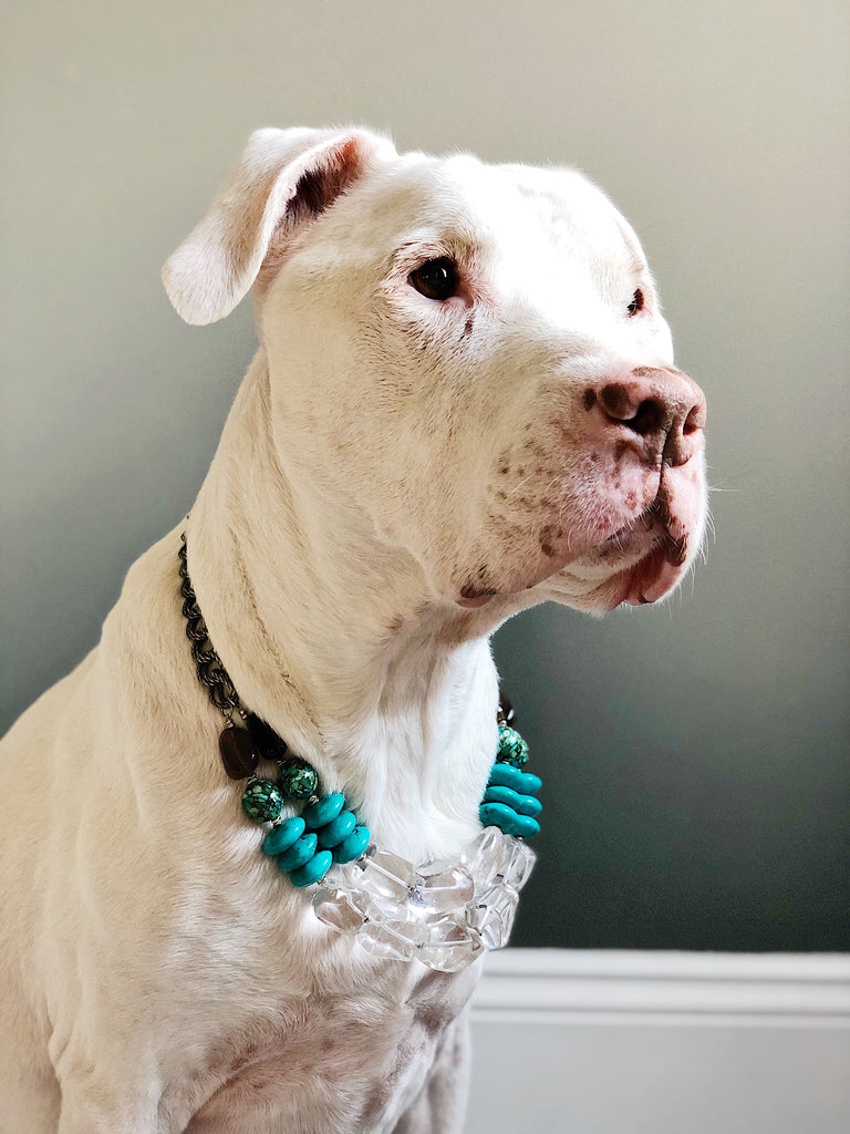 Third & Co. Studio dog model, dog wearing a semiprecious stone one of a kind statement necklace, turquoise and quartz OOAK necklace