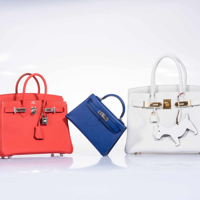 Hermès Birkin 25 Capucine Togo Palladium Hardware – JaneFinds