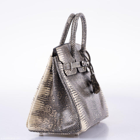 birkin 25 ombre lizard price