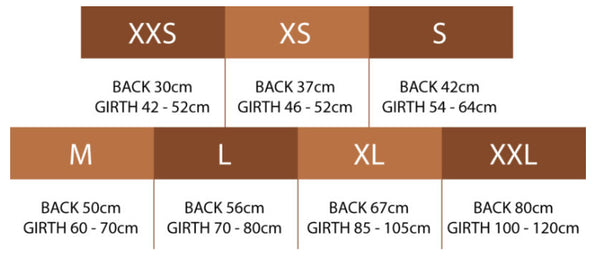 Dog size chart