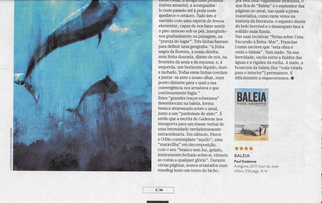Baleia | Revista E (Expresso) | Recensão de José Mário Silva | ★★★★