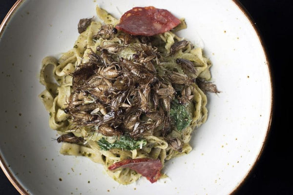 Gourmet insects tagliatelle