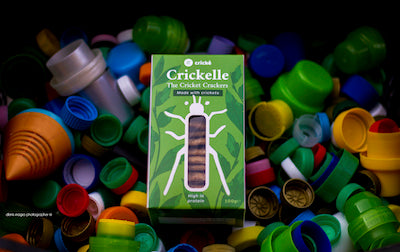 edible insects crackers