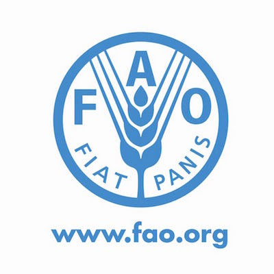FAO document on edible insects