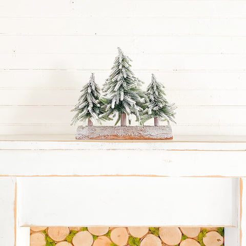 Snowy Tree Trio on a Log