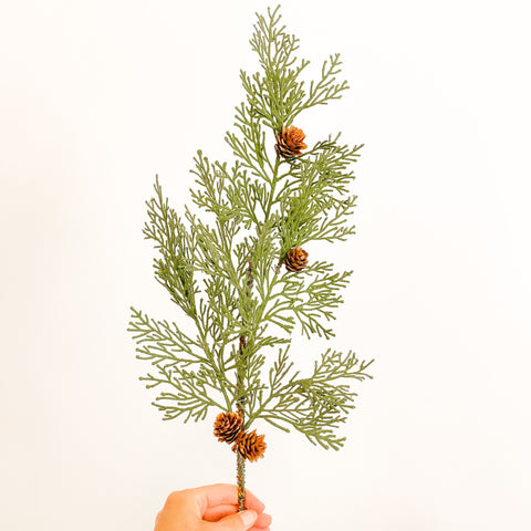  Natural Forest Hemlock Stem with Pine Cones