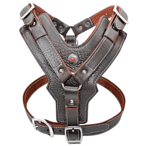 handmade leather dog harness