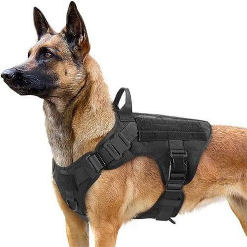 malinois dog harness