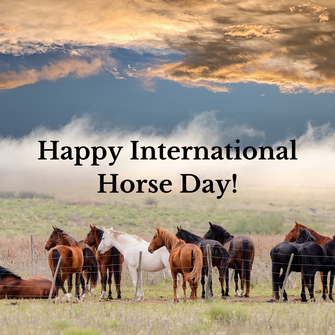 Three books for National Horse Day! Acres USA