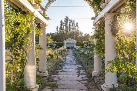 Sonoma Petaluma wedding venue outdoors garden