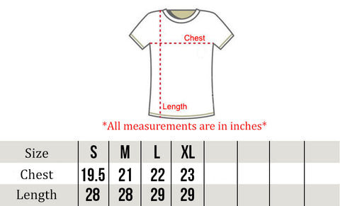 hollister shirt size guide