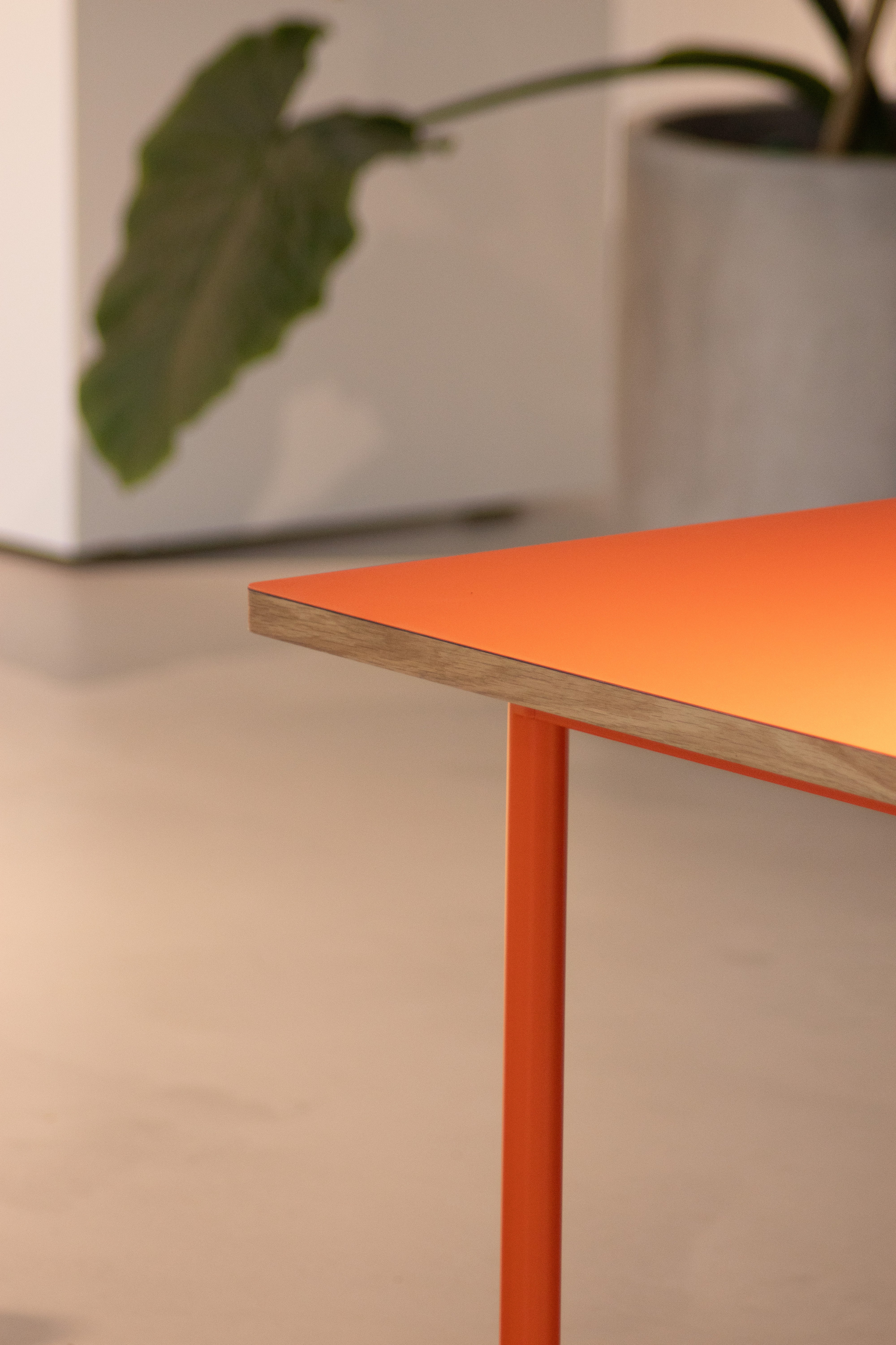 Tablelab – Product image – ESSENTIAL COLOR 190x90cm