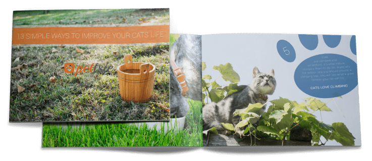 13-simple-ways-to-improve-cats-life-e-book