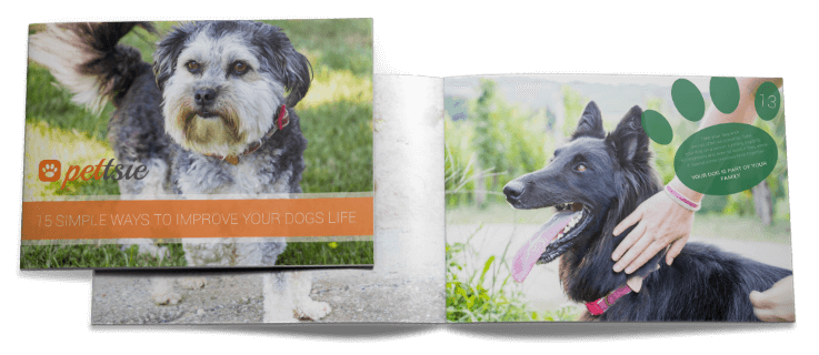 15-simple-ways-to-improve-dogs-life-e-book