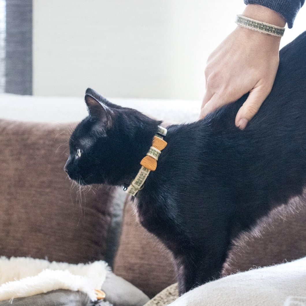 black bow tie cat collar