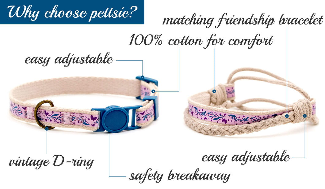 modern cat collars