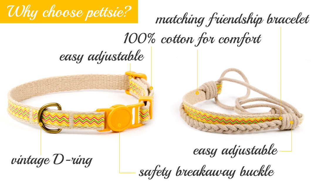 We heart Miles wish he was our BFF friendshipcollar husky love   Friendship collar Dogs Best dogs