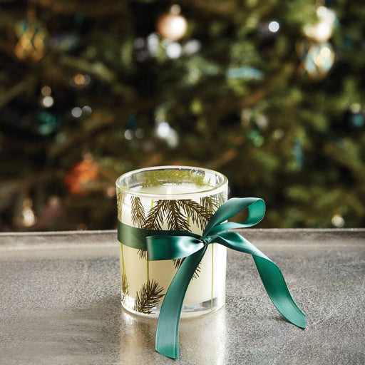 Experience the Timeless Elegance of Frasier Fir by Thymes