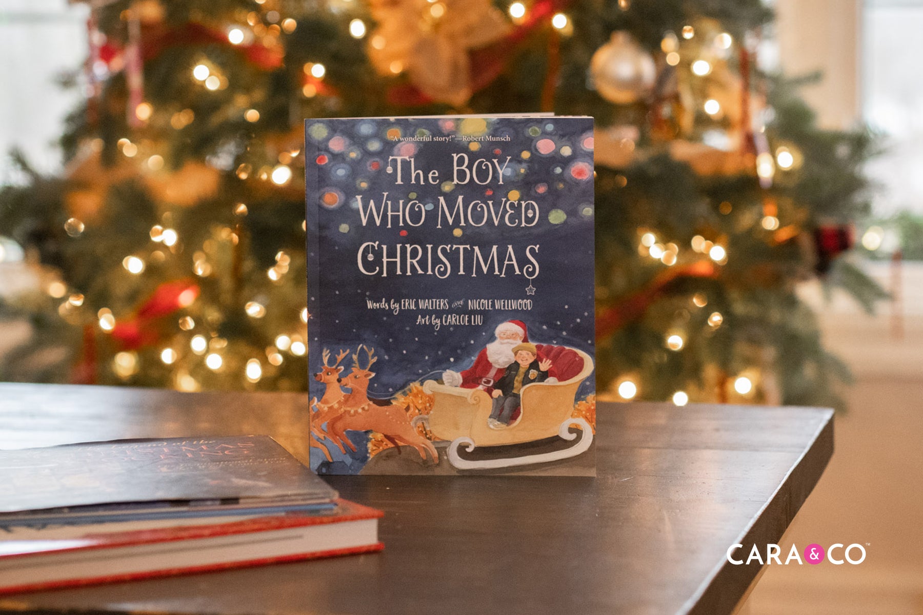 Christmas Books for Kids - Cara & Co