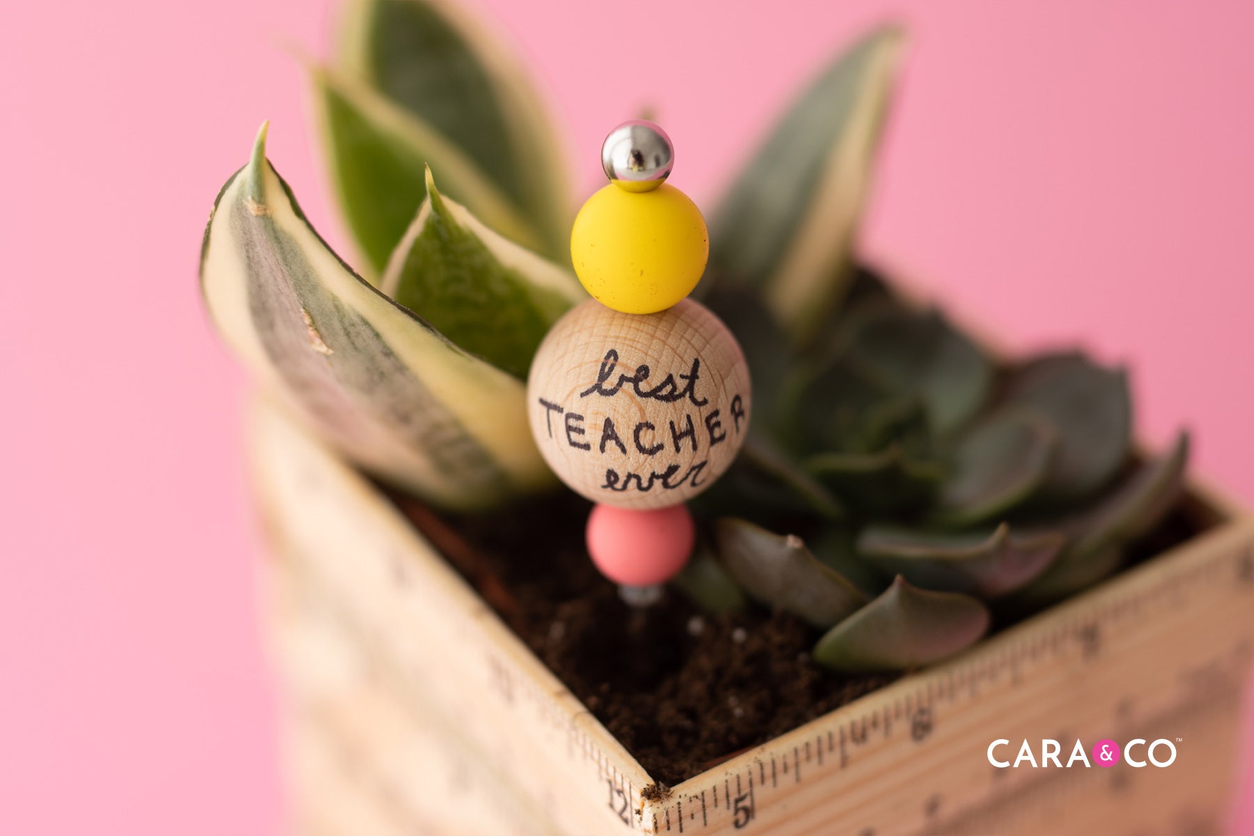 Best Teacher Ever - Gift Inspiration - Cara & Co