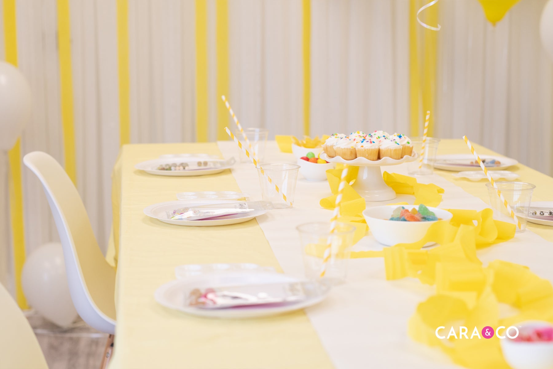 Birthday Party Inspiration - Cara & Co