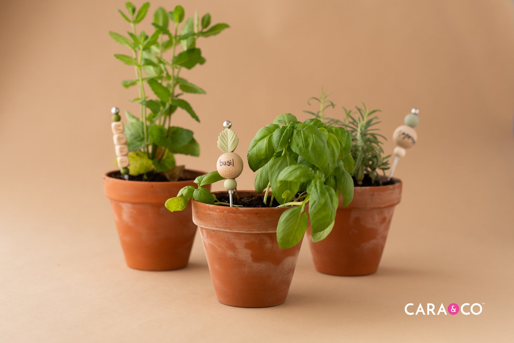 Potted Herbs with DIY Plant Tags - Cara & Co
