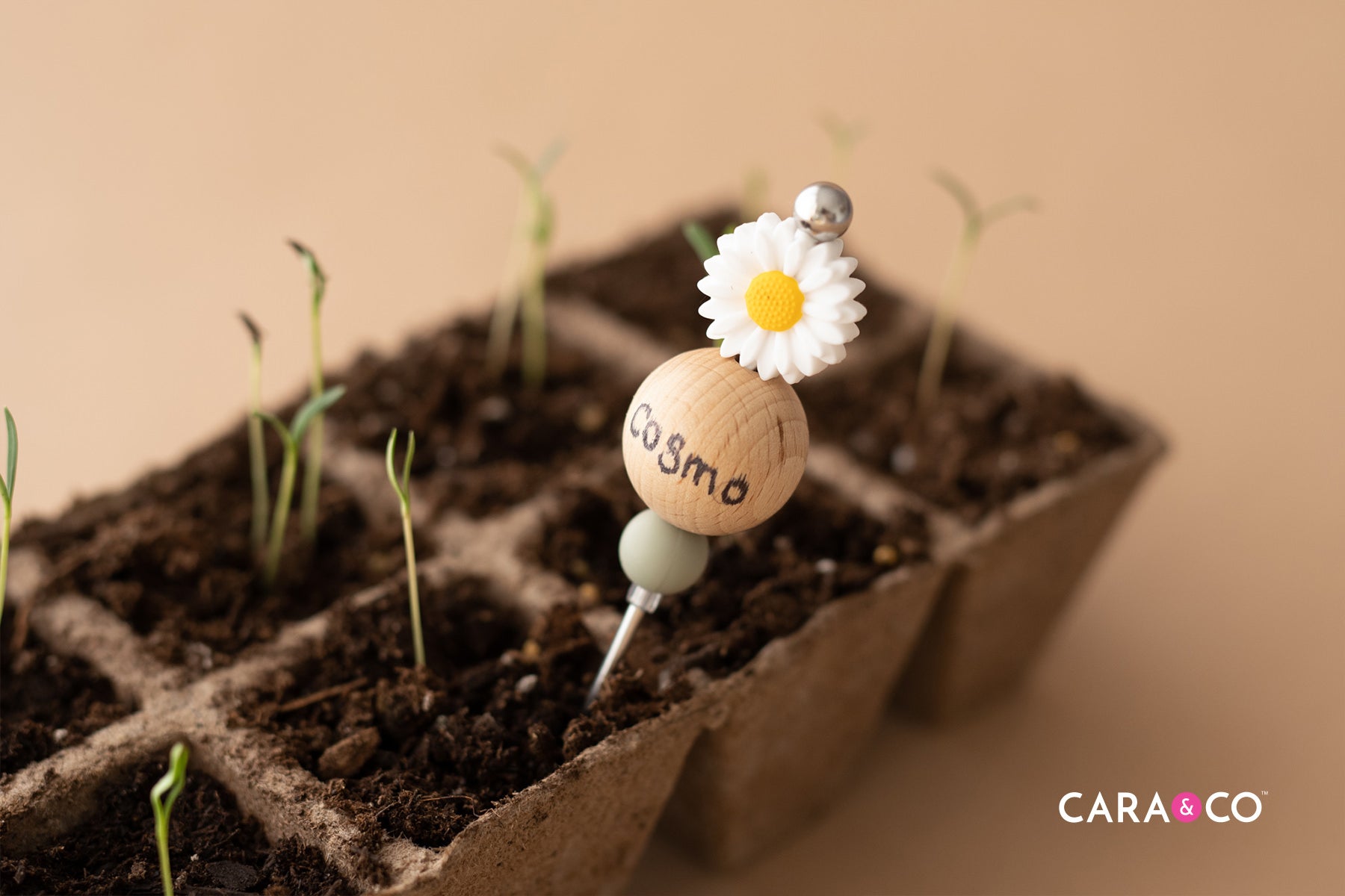 Seedling Plant Tag - DIY Craft - Cara & Co