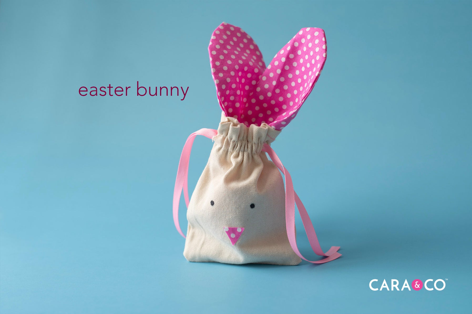 Easter Bunny Bag Craft