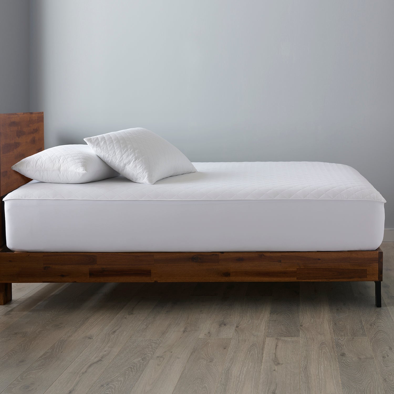 JOYCE CUSHION BED — MANIFESTO