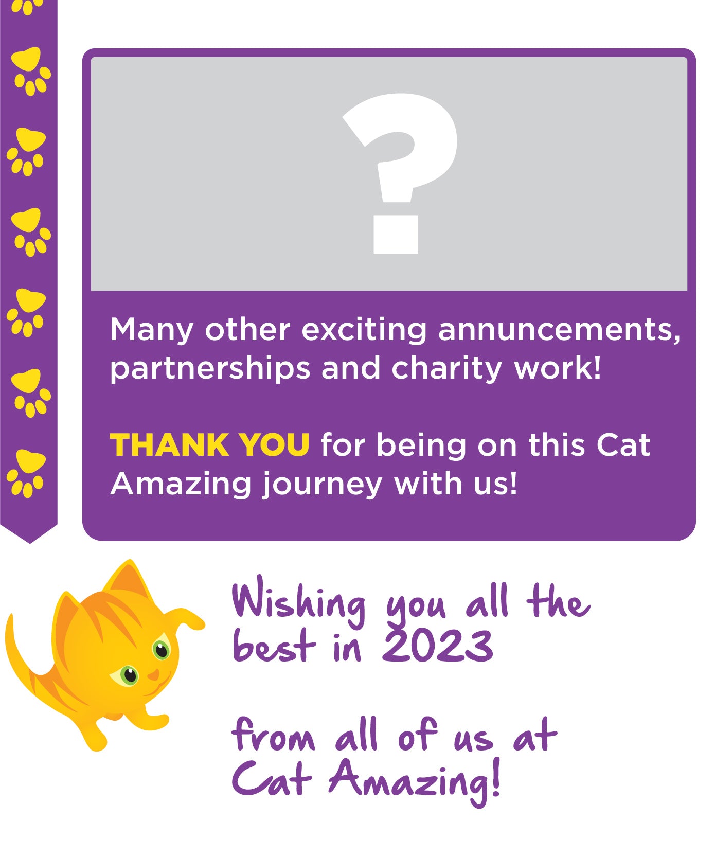 Cat Amazing Journey 10