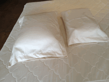 Organic Buckwheat pillow — Sachi Organics