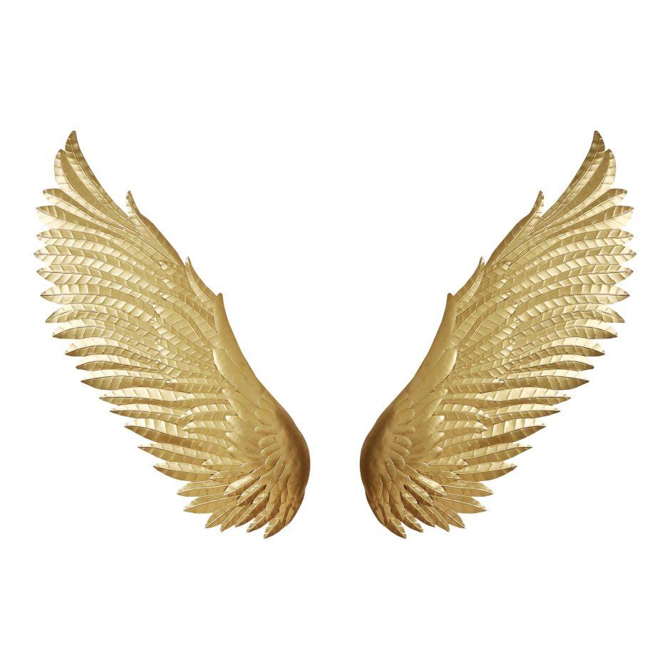 Iron Wings Wall Décor | Hanging Decoration | City Home