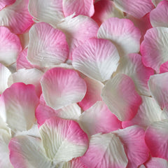 Rose Flower Petals