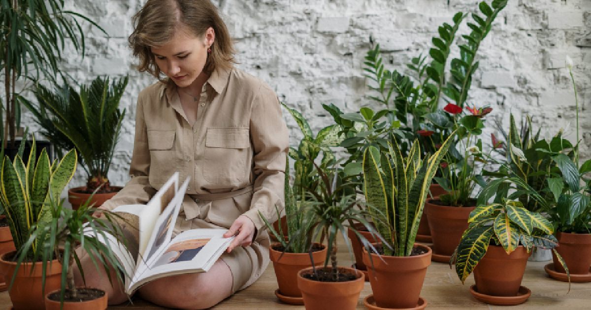 women-sitting-near-indoor-plants