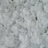 11 Sq ft. | 4 Panels UV Protected Hydrangea Flower Wall Mat Backdrop | White#whtbkgd