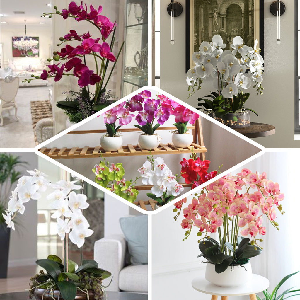 orchid flower arrangements