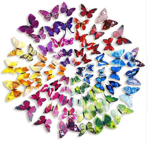 Download 12 Pack Double Wing 3d Butterfly Wall Decals Stickers Diy Orange Collection Tableclothsfactory