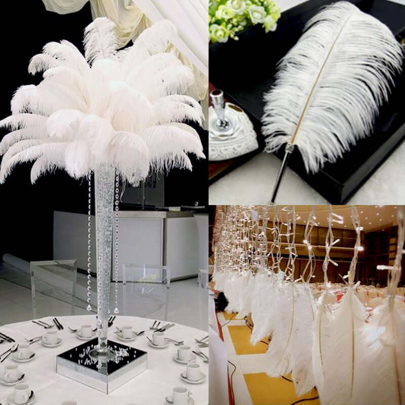 White Natural Plume Ostrich Feathers 