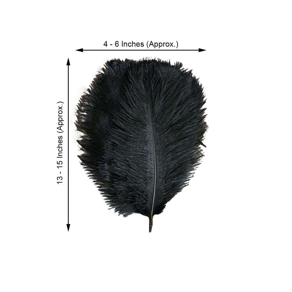 black ostrich plume feathers