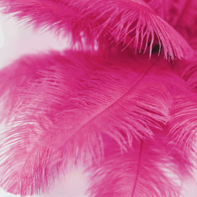 12 Pack | 13"-15" Fuchsia Natural Ostrich Plumes Wholesale