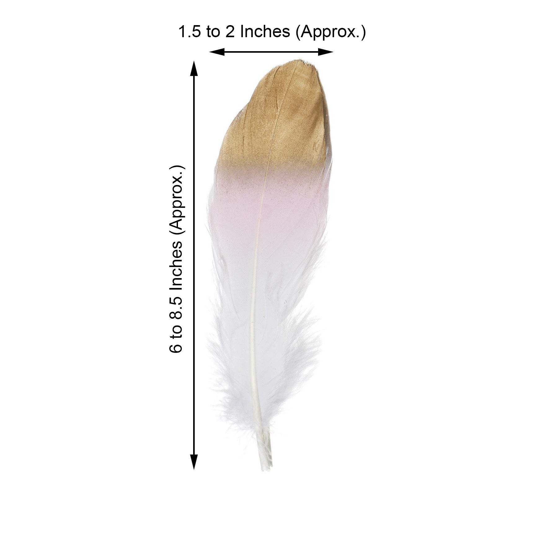 Dual Tone Real Goose Feathers | Craft Feathers for Party Decoration ...