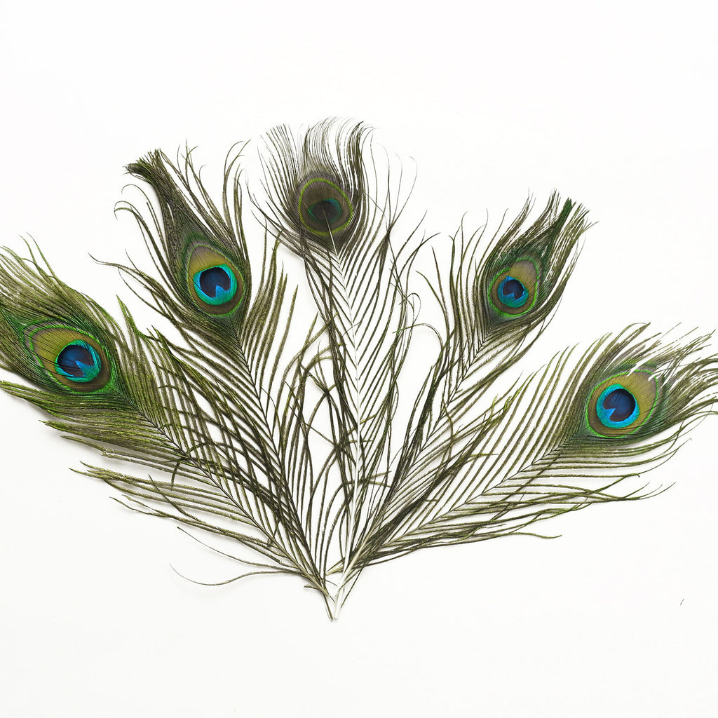 peacock feather headband diy