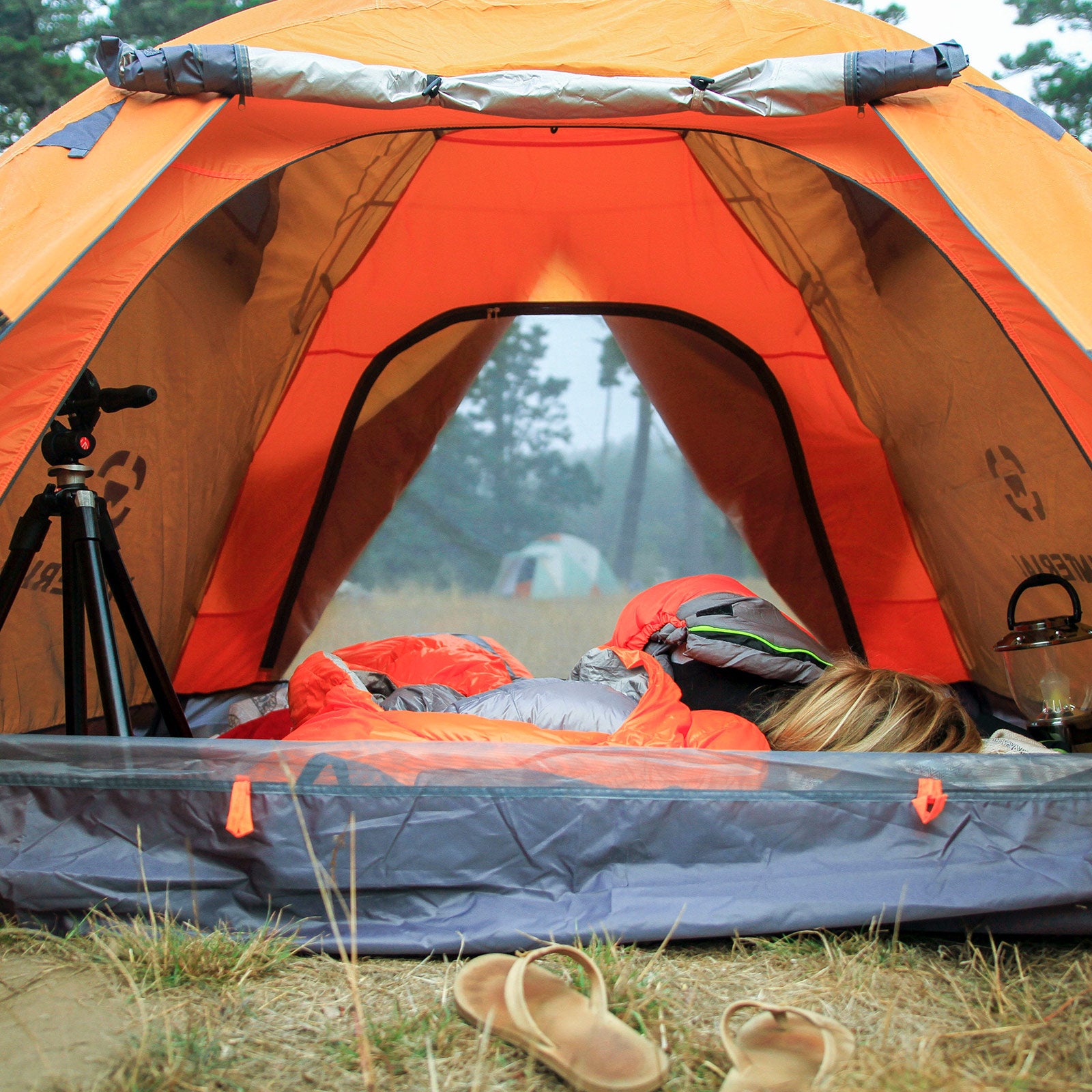 zegevierend verzameling Rusteloosheid 3-Person Camping Tent | Lightweight, Portable, Quick Setup - Winterial.com