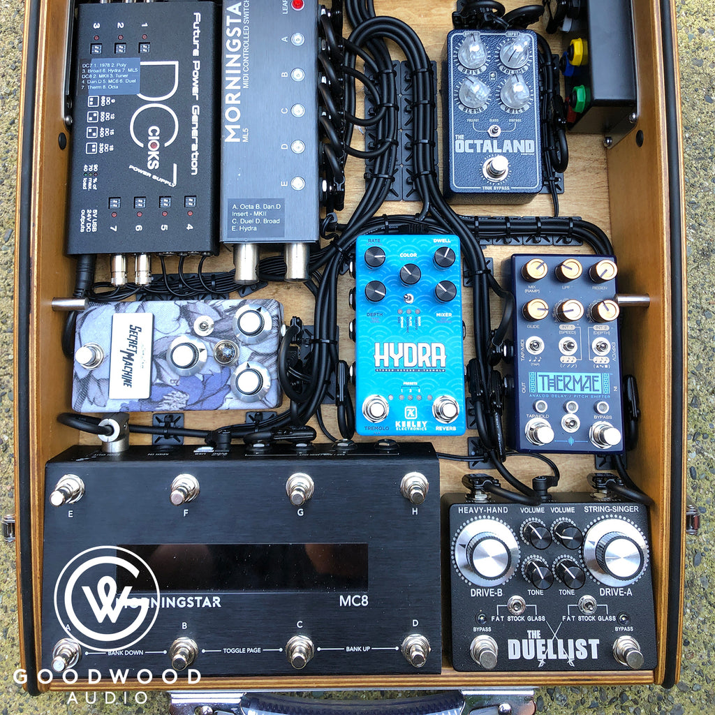 Professional Pedalboard Setup