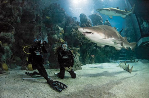 Denver Aquarium