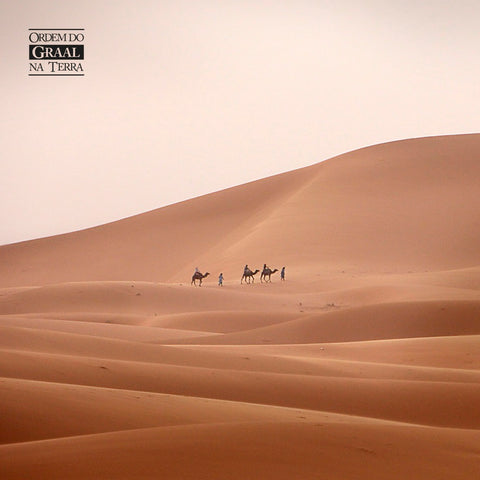 Deserto com três camelos e homens