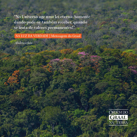 Imagem de Floresta com frase da obra "Na Luz da Verdade - Mensagem do Graal", de Abdruschin