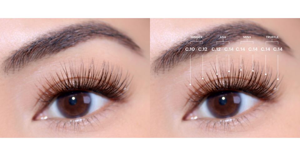 Ombré Intimates Lashes