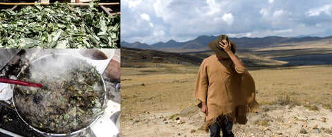 Traditional botanical plant dyeing in Peru